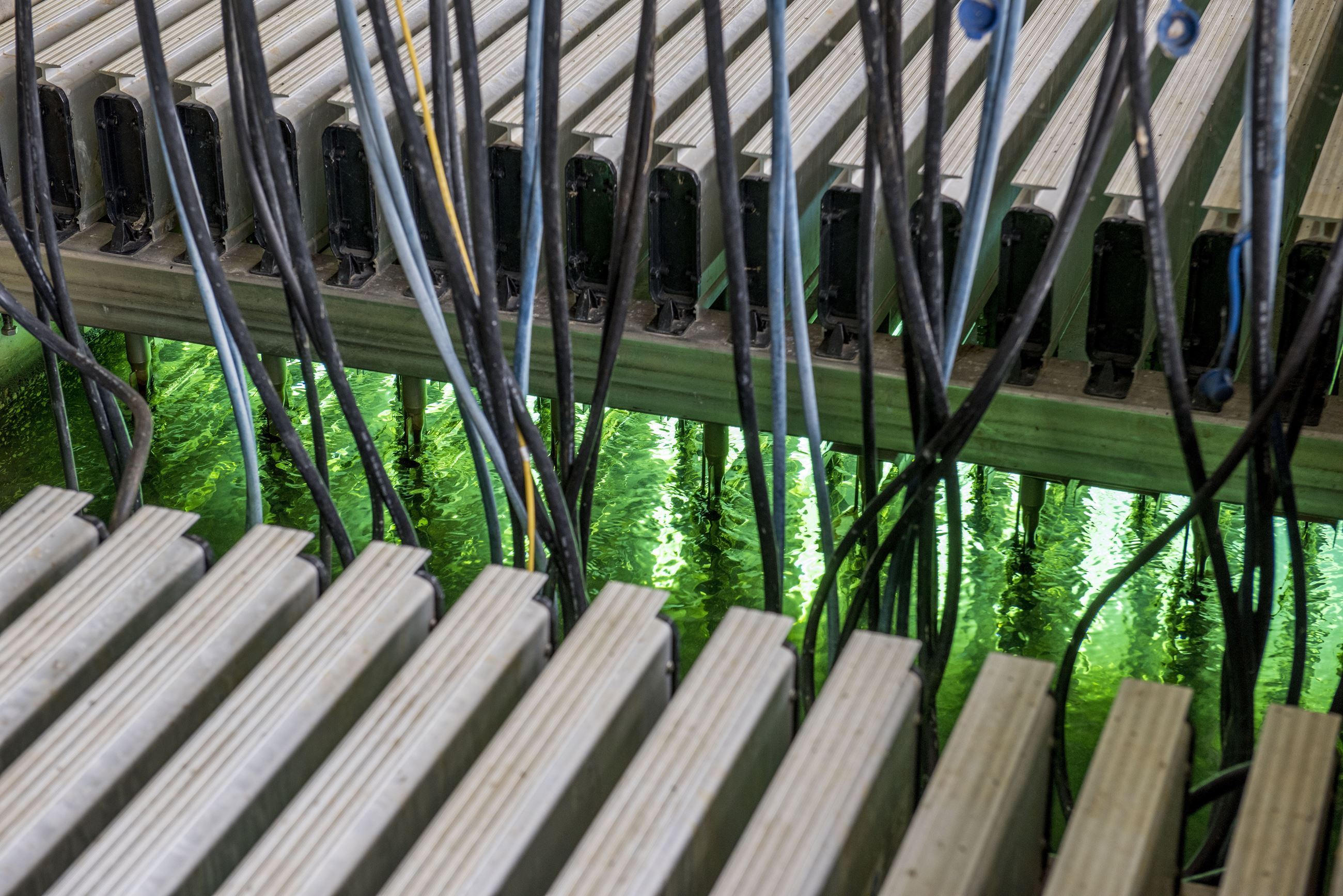 ultraviolet light disinfection wastewater treatment