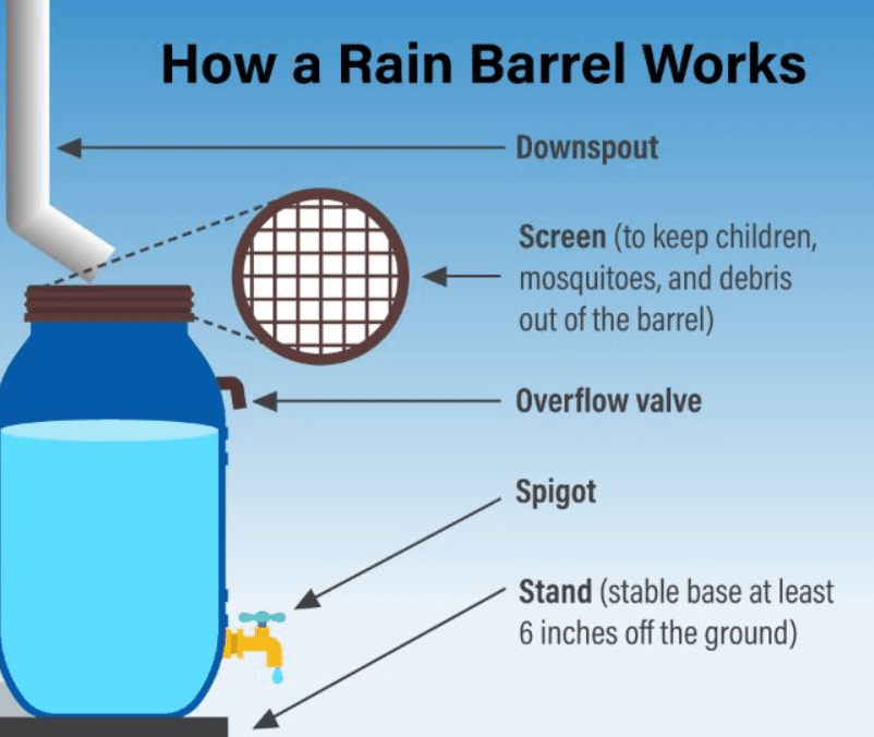 rainbarrel