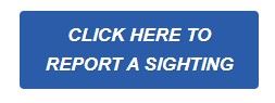 Report a Sighting Button